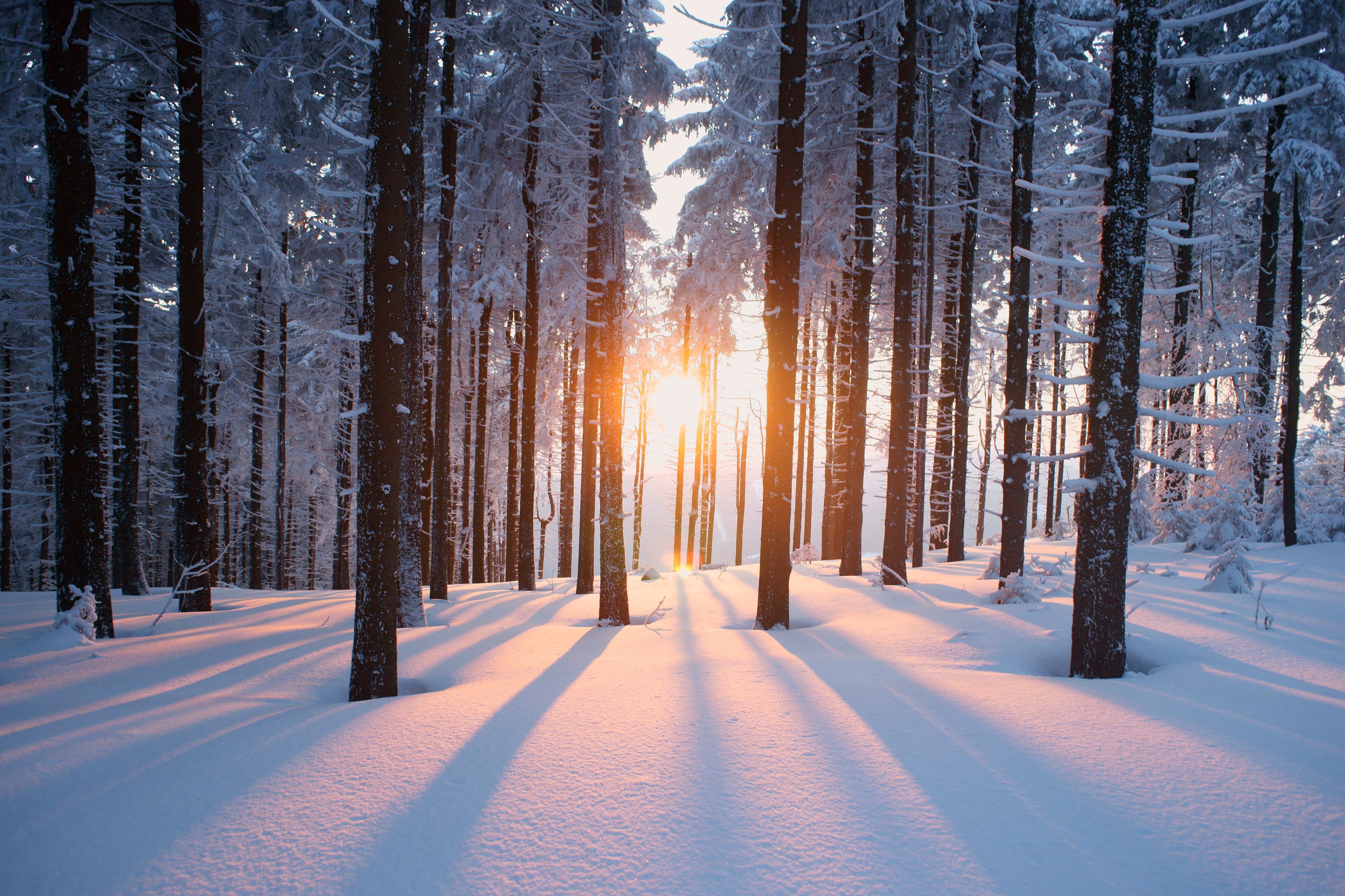 Winterkollektion